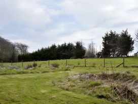A field with trees and a fence at Gisburn Forest Lodge