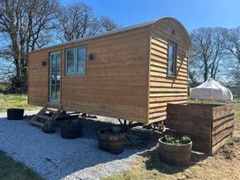 A wooden tiny house with stairs and planters at Y Nyth 