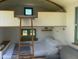 A bedroom with a loft bed and a ladder at Y Nyth in 