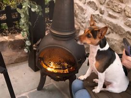 A dog sitting next to a fireplace in an outdoor area