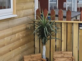 An outdoor area with a wooden fence and potted plant at 38A in Bridlington