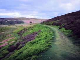 A path winding through greenery in a hilly landscape at Blue Haven Penmaenmawr