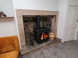 A living room with a fireplace and wood stove at 1 Sunnybrae in Alnwick