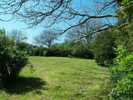 A garden with grass and trees at Dinas Island Cottage Dinas Cross