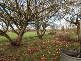 A scene with apple trees and fallen apples in a field at Daffodil Cottage, York