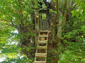 Fairview - Suffolk & Essex - 1191411 - thumbnail photo 42