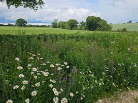 A field with wildflowers and trees at Fairview in Darsham
