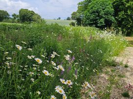 A garden with wildflowers and trees at Fairview in Darsham