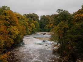A river with a waterfall and trees at Bainbridge Aysgarth