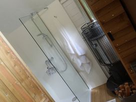 A bathroom with a shower and stove at Aeron in Newcastle Emlyn
