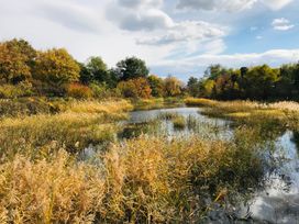 A natural landscape with water and vegetation at Somersby Spa (Pet) Louth