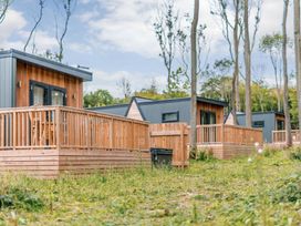 Cabins with wooden decks in a forest at Tennyson Spa (Pet) Louth