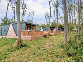 An outdoor view of cabins with decking at Tennyson Spa (Pet) Louth