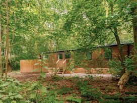 A wooden cabin in a forest setting at Alford Spa (Pet) Louth