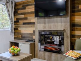 A living room with a television, fireplace, and fruit basket at Alford Spa (Pet) in Louth