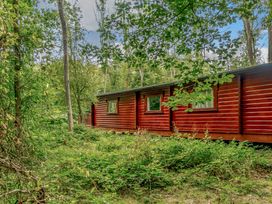 A wooden cabin surrounded by trees and bushes at Cedar Lodge in Louth