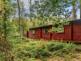 A wooden cabin surrounded by trees and bushes at Cedar Lodge in Louth