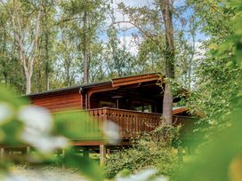 A cabin in a forest setting at Cedar Lodge in Louth