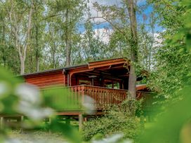 A cabin surrounded by trees at Cedar Lodge (Pet) Louth