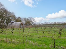 A vineyard with a cabin and trees at Grape Escape near Halesworth