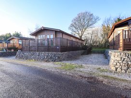 A wooden lodge with decking and gravel driveway at Kingfisher Lodge
