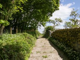 A path with trees and stone walls at Little Hut Grange-Over-Sands