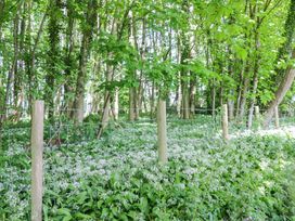 A wooded area with trees and a fence at Little Hut in Grange-Over-Sands