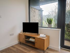 A living room with a television and plant at Little Poppes Lawn in Holditch near Hawkchurch