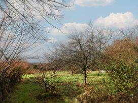 An outdoor scene with trees and grass at Little Poppes Lawn in Holditch near Hawkchurch