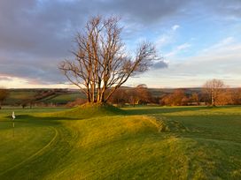 A golf course with a tree and flag in the foreground at FW4 (Fairways 4) Doublebois near Dobwalls