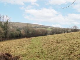 A field with trees and hills at Swallows Nest near Widecombe-in-the-Moor