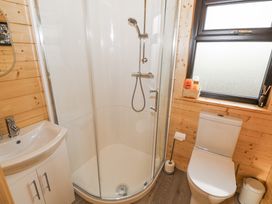 A bathroom with a shower, sink, and toilet at Glenview Log Cabin in Ballycastle