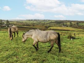 Two horses walking in a grassy field with hills in the background at Glenview Log Cabin Ballycastle