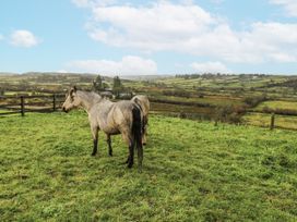 Two horses in a field with green grass at Glenview Log Cabin Ballycastle