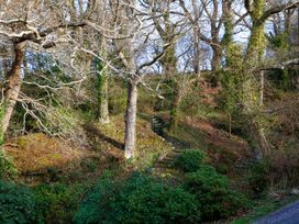 A pathway with steps among trees at Ty Uchaf in Colwyn Bay