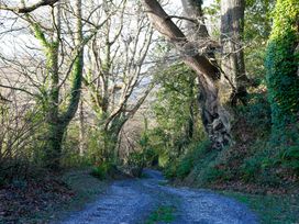 A gravel path surrounded by trees and bushes at Ty Uchaf in Colwyn Bay