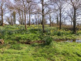 A landscape with trees and daffodils in a field at The Mill Caergeiliog