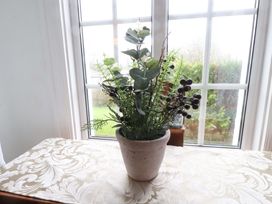 A plant in a pot on a table by a window at Ty Crigyll in Holyhead