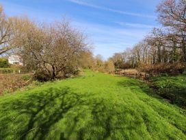 A grassy area with trees and a stream at Ty Crigyll in Caergeiliog