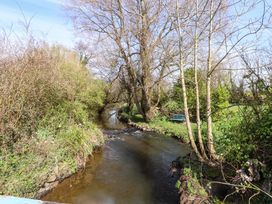 A stream surrounded by trees and bushes with a bench at Ty Crigyll in Caergeiliog