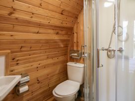 A bathroom with a toilet and shower at Garden Lodge 4 in Swansea