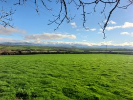 A green field with tree branches and clouds at Plas Marchog Lodge in Pentraeth