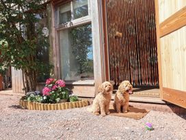 Two dogs sitting in front of a house entrance at Captains Barn Tiverton