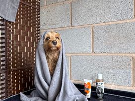 A dog wrapped in a towel next to grooming products at Captains Barn Cadeleigh near Tiverton