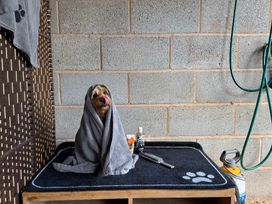 A dog wrapped in a towel on a table in a grooming area at Captains Barn Cadeleigh near Tiverton