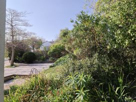 A garden with trees and plants at Fluta in Seaton