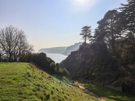 A view of the coastline with cliffs and trees at Fluta in Seaton