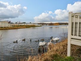 A view of ducks and swans on water with holiday homes in the background at 62 Guddlebeck in Flookburgh