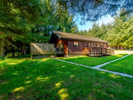 A log cabin surrounded by trees at Osprey Spa (Pet) Dundee