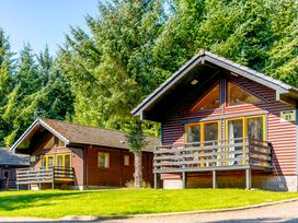 Two cabins with decks and surrounding trees at Osprey Lodge (Pet) Dundee